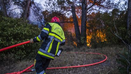 Des pompiers interviennent pour contenir un incendie à Carnoux (Bouches-du-Rhône), le 19 août 2017.&nbsp; (FABIEN COURTITARAT / HANS LUCAS / AFP)