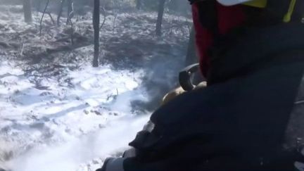 Incendies en Gironde&nbsp;: un jeune homme a reconnu être à l’origine d’une trentaine de départs de feu (France 3)