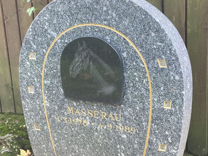 The grave of a horse at the animal cemetery of Asnières-sur-Seine (Hauts-de-Seine) (Morgue Heuclin-Reffait / RADIOFRANCE)