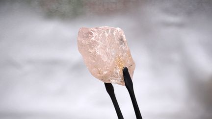 Cette photo non datée, publiée par Lucapa Diamond Company Limited le 27 juillet 2022, montre un diamant rose de 170 carats, surnommé "Lulo Rose", découvert dans la mine de Lulo, dans la région nord-est de l'Angola, riche en diamants. (HANDOUT / LUCAPA DIAMOND COMPANY LIMITED)