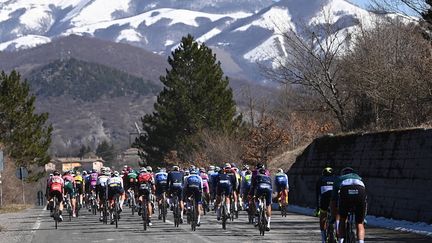 Le peloton sur les routes du Tirreno-Adriatico, lors de la quatrième étape, le 10 mars 2022. (FABIO FERRARI/AP/SIPA / SIPA)