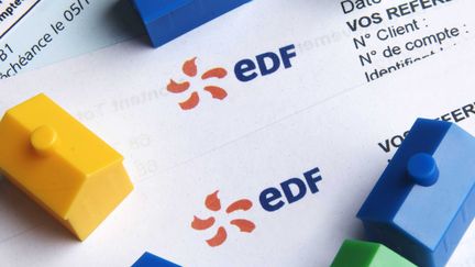 Le tarif agent a repr&eacute;sent&eacute; "en 2010 un manque &agrave; gagner de 222 millions d'euros" pour EDF. (JAUBERT / SIPA)