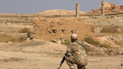 Un soldat irakien regarde la destruction du&nbsp;site archéologique de Nemrod (Irak), le 15 novembre 2016 (SAFIN HAMED / AFP)