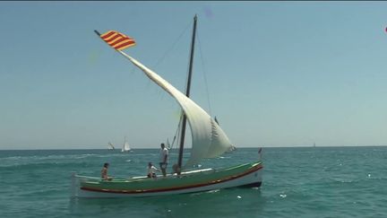 Voile : dans les Pyrénées-Orientales, un spectacle de vieux gréements