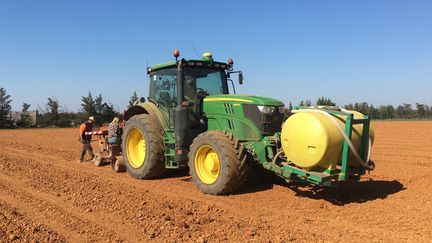 Des agriculteurs en plein travail sur de futures vignes à Saint-Gilles (Gard). (LISE ROOS-WEIL / RADIOFRANCE)