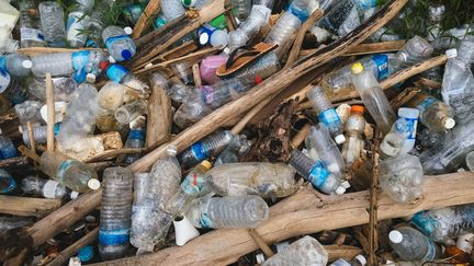 Bouteilles en plastique rejetées par la mer, sur une plage de Malaysie, en 2017. (Getty Images)
