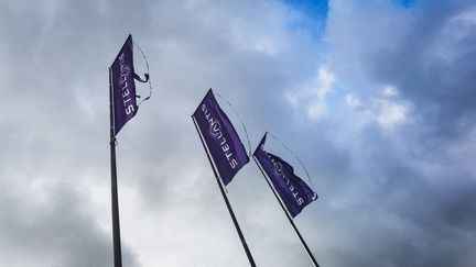 L'usine Stellantis de Noidans-les-Vesoul. (JEAN-FRANÇOIS FERNANDEZ / RADIO FRANCE)