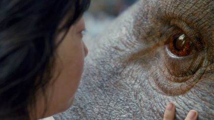 "Okja" de Joon-Ho Bong
 (Netflix)