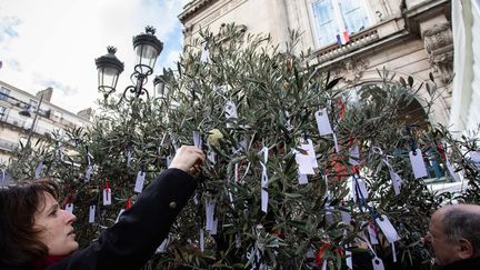 L'olivier qui sera intégré au "jardin du souvenir", lors de la cérémonie de commémoration des attentats du 13-Novembre 2015, devant la mairie du 11e arrondissement, à Paris, le 13 novembre 2019. (AURELIEN MORISSARD / MAXPPP)