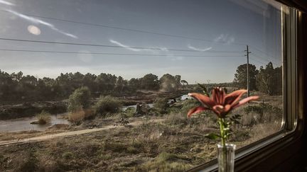 Entre Pretoria, la capitale, et Le Cap, à travers champs, bidonvilles, centres urbains et paysages de rêve, le Blue Train parcourt 1600 kilomètres. La liaison entre Le Cap et Port Elizabeth (Gqeberha depuis peu), le long de la côte Sud, est considéré comme le trajet le plus spectaculaire avec ses paysages magnifiques. Les touristes&nbsp;apprécient aussi particulièrement la portion le long du parc Kruger, la plus grande réserve animalière d'Afrique du Sud.&nbsp;&nbsp; (MARCO LONGARI / AFP)