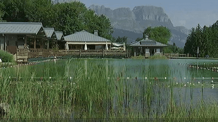 Les piscines naturelles en plein essor