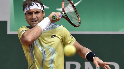 David Ferrer (DOMINIQUE FAGET / AFP)