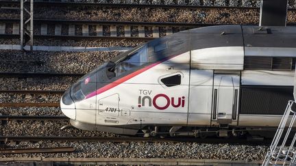 Selon la SNCF, le trafic des TGV "s'améliorera fortement" à partir de lundi 6 janvier "sur l'ensemble des destinations". (HUGO PASSARELLO LUNA / HANS LUCAS / AFP)