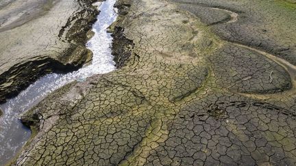 Climat : tous les voyants sont au rouge après un mois de températures record