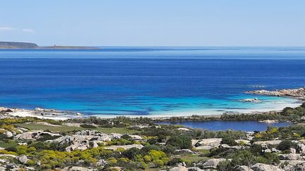 Le Parc naturel de l'Asinara, en Sardaigne, en avril 2021. (BRUCE DE GALZAIN / RADIO FRANCE)