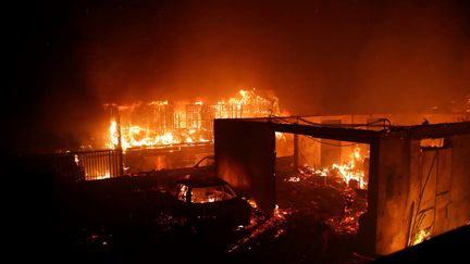 A fire burns houses and vehicles in the popular Chilean seaside resort of Viña del Mar on February 2, 2024.  (Javier Torres/AFP)