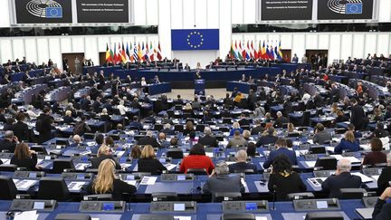 Le Parlement européen à Strasbourg (Bas-Rhin), le 22 novembre 2022. (FREDERICK FLORIN / AFP)