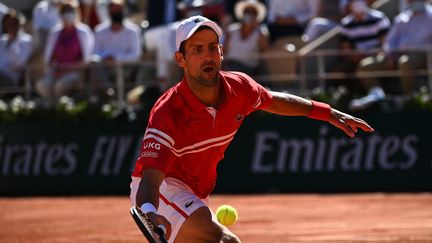 Novak Djokovic à Roland-Garros, le 13 juin 2021. (ANNE-CHRISTINE POUJOULAT / AFP)