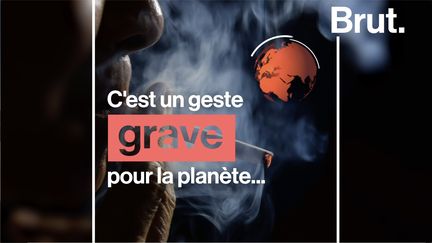 Chaque année, 6&nbsp;000 milliards de cigarettes sont fabriquées.&nbsp;Pourtant cette production effrénée a un lourd impact environnemental. &nbsp; (BRUT)