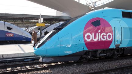 Un TGV Ouigo stationne en gare de Lyon, à Paris, le 19 février 2013. (JACQUES DEMARTHON / AFP)