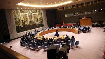 Les membres du Conseil de sécurité des Nations unies, réunis le 20 février 2023, à New York (Etats-Unis). (MICHAEL M. SANTIAGO / GETTY IMAGES NORTH AMERICA / AFP)