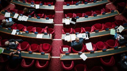 Une vue du Sénat lors des débats sur le projet de loi sur l'immigration, le 6 novembre 2023. (XOSE BOUZAS / HANS LUCAS / AFP)