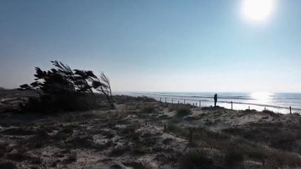 Éoliennes en mer : l’île d’Oléron se bat pour défendre ses zones protégées