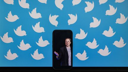 Elon Musk a abandonné son projet de rachat du réseau social Twitter. (SAMUEL CORUM / AFP)