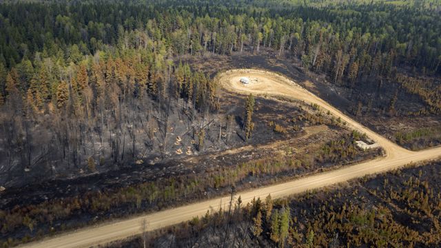 As of May 11, 2023, when this photo was taken, almost 400,000 hectares had already burned in the province of Alberta since the start of the year.  (MEGAN ALBU / AFP)