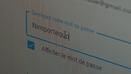 Internet : l’art de bien choisir son mot de passe (France 2)