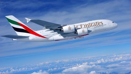 Un Airbus A380 de la compagnie Emirates Airline, dans les airs. (EYEPRESS NEWS / AFP)