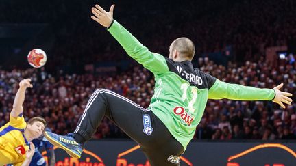 Vincent Gérard dans les cages des Bleus lors du quart de finale du Mondial contre la Suède, à Lille, le 24 janvier 2017. (CITIZENSIDE/ANN-DEE LAMOUR / AFP)