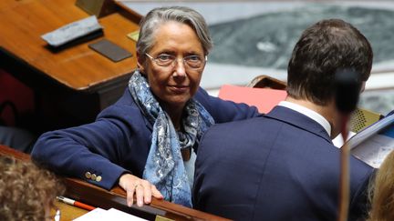 Elisabeth Borne, alors ministre des Transports, le 28 mai 2019, à l'Assemblée nationale. (JACQUES DEMARTHON / AFP)