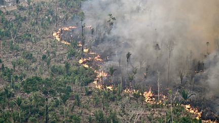 Une zone de la forêt amazonienne déboisée par des incendies illégaux dans la municipalité de Labrea, dans l'Etat d'Amazonas, au Brésil, le 20 août 2024. (EVARISTO SA / AFP)