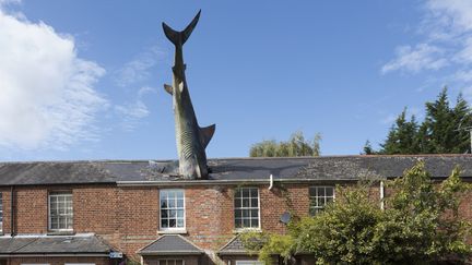 Le requin encastré dans une maison de Headington, près d'Oxford (Grande-Bretagne). (ALEX ROBINSON / ROBERT HARDING HERITAGE)