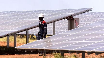 Un technicien de la centrale solaire de Bokhol, dans le nord du Sénégal, inaugurée en octobre 2016. Une centrale de 20 MGW, soit 75&nbsp;000 panneaux qui s'étendent sur 40 hectares. (SEYLLOU / AFP)