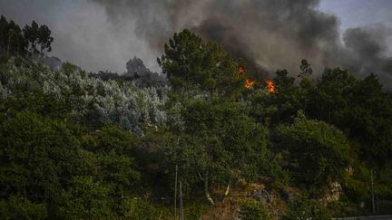 Un incendie près du village d'Eiriz, le 15 juillet 2022, au Portugal. (PATRICIA DE MELO MOREIRA / AFP)