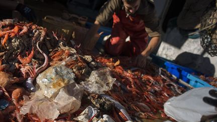 Au milieu de la pêche d'un chalutier espagnol, des plastiques sont récupérés pour être recyclés en vêtements
 (Pedro Armestre / AFP)