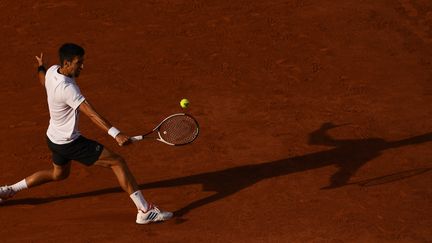 Novak Djokovic, Roland-Garros 2017. (ALEXEY FILIPPOV / SPUTNIK)