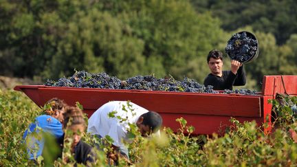 L'Eurozapping du 23h : les viticulteurs espagnols inquiets