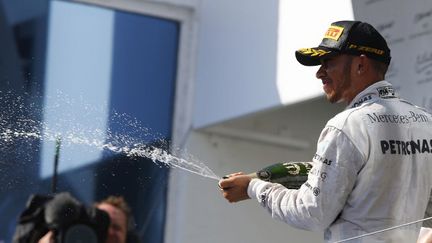 Lewis Hamilton savoure sa victoire en Hongrie (HOCH ZWEI / HOCH ZWEI)