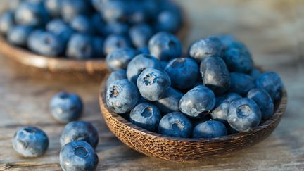 La grande myrtille ou&nbsp;vaccinium corymbosum. Un arbuste fruitier résistant aux basses températures.&nbsp; (GETTY IMAGES)