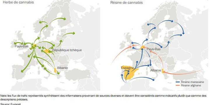 Trafic de cannabis dans le monde (source Europol) (Source Europol)