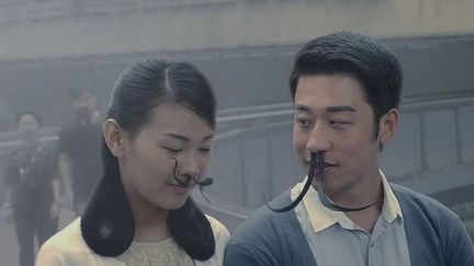 Capture d'écran de la vidéo de campagne contre la pollution&nbsp;de l'air en Chine, février 2016 (WILDAID / VIMEO)