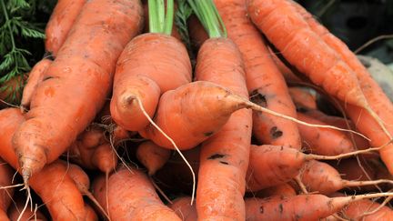 Carottes sur un étal d'un maraîcher à Argenton dans l'Orne. (MYCHELE DANIAU / AFP)