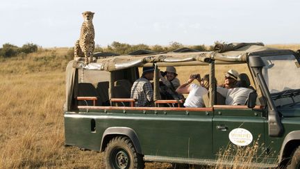 Un gu&eacute;pard pose sur le toit d'un v&eacute;hicule transportant des touristes lors d'un safari dans la r&eacute;serve nationale du Masai Mara au Kenya, le 4 septembre 2012. (ED BROWN / AP / SIPA)