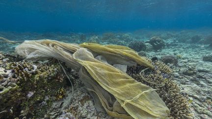 An abandoned fishing net in the Pacific Ocean.  Illustrative image.  (MICHAEL NOLAN/ROBERT HARDING RF)