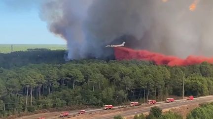 Incendie en Gironde : nouveau départ de feu dans le secteur d'Arès (FRANCE 2)