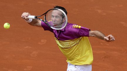 Radek Stepanek sur terre battue (JAVIER SORIANO / AFP)