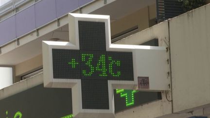 Canicule : dans le Var, Fréjus s'adapte face aux fortes chaleurs